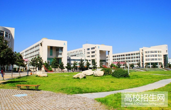 ���϶�����ѧ�������������϶������а�2023