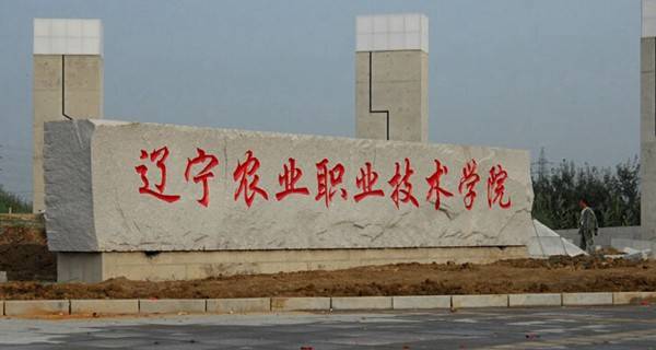 2023����ʡר��ѧУ���а�  ԺУ����