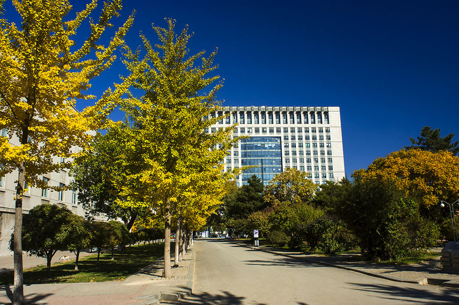 ������ѧ��ô����985������רҵ����Щ��