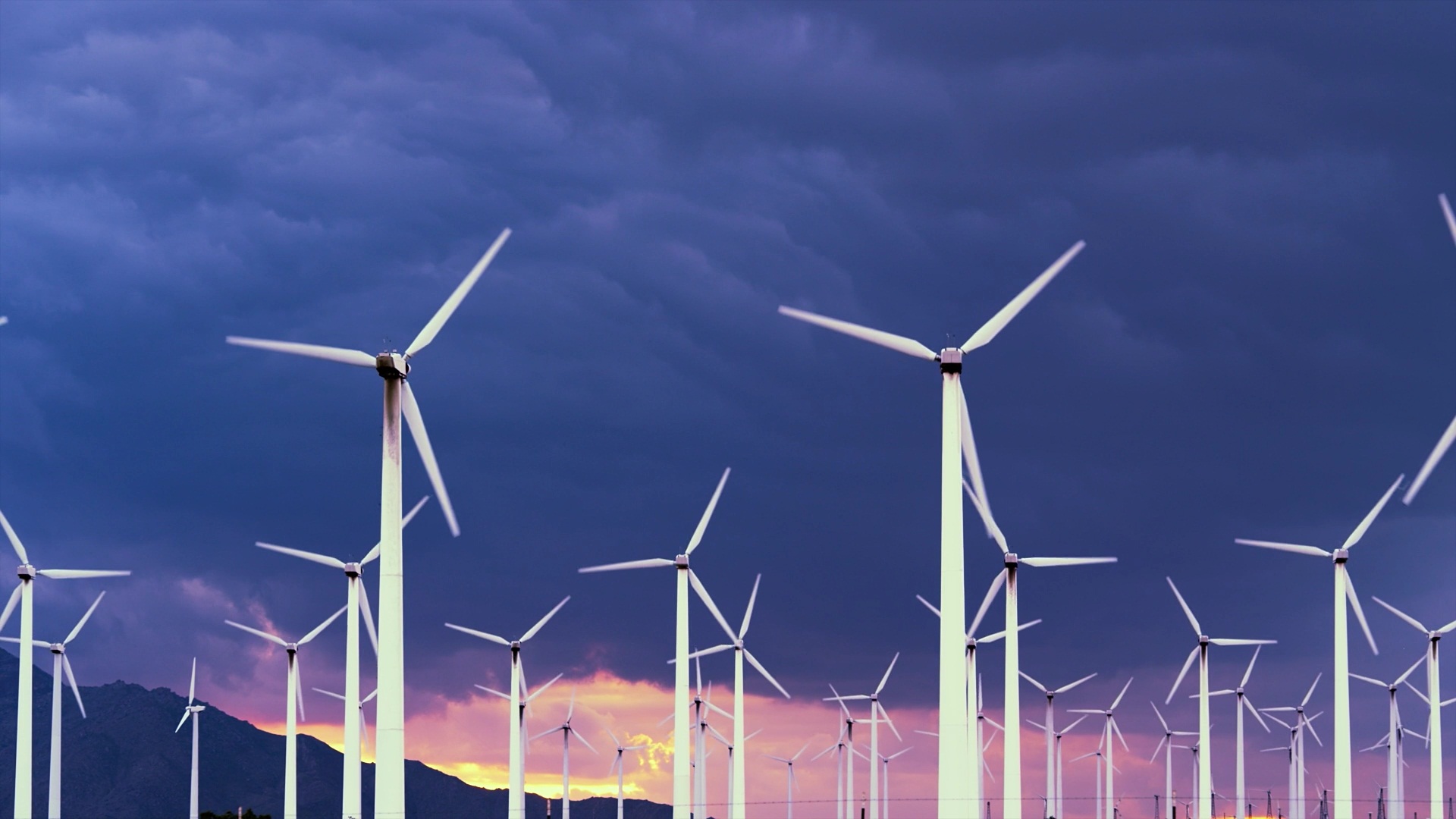 ������ѧ��ô����985������רҵ����Щ��