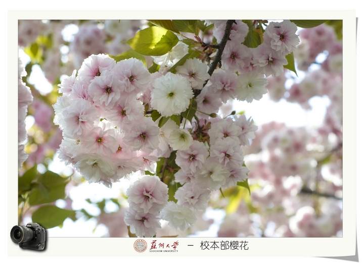 ���ݴ�ѧ����ȫ���������٣�����רҵ����Щ��