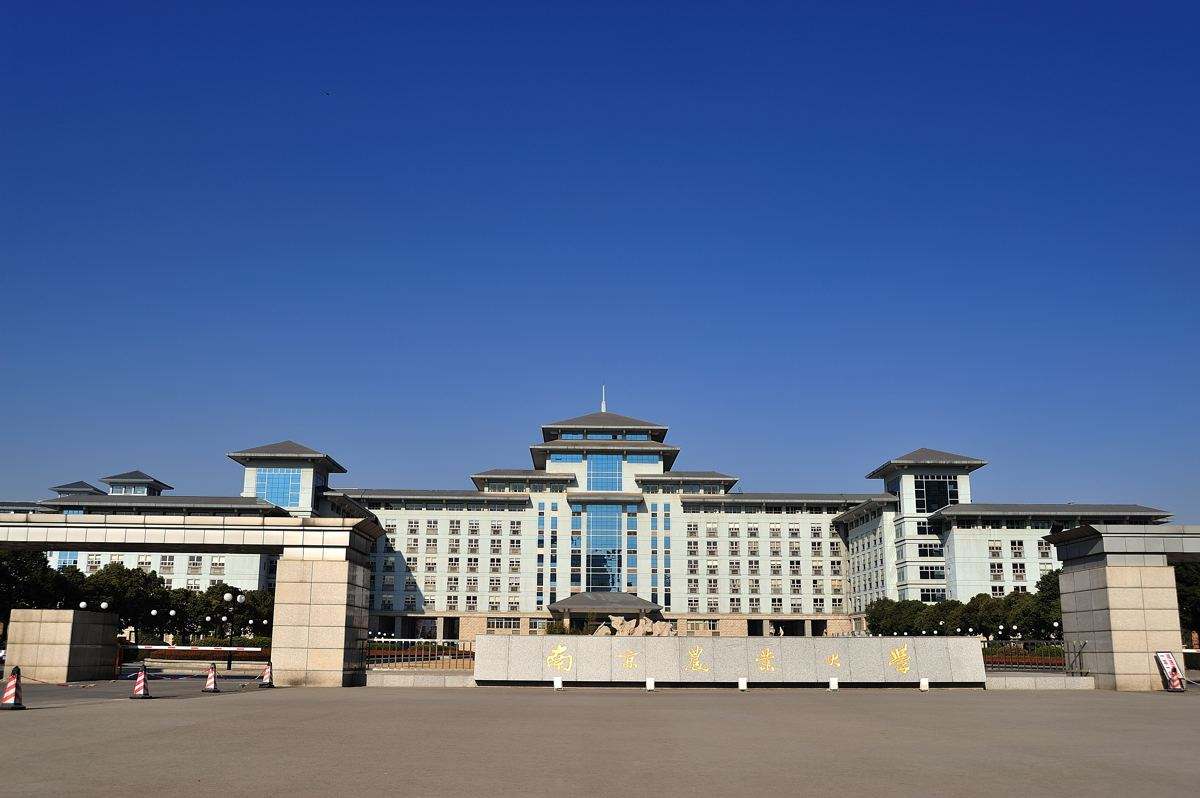 2023�Ͼ�������ѧרҵ������¯ ����רҵ����������