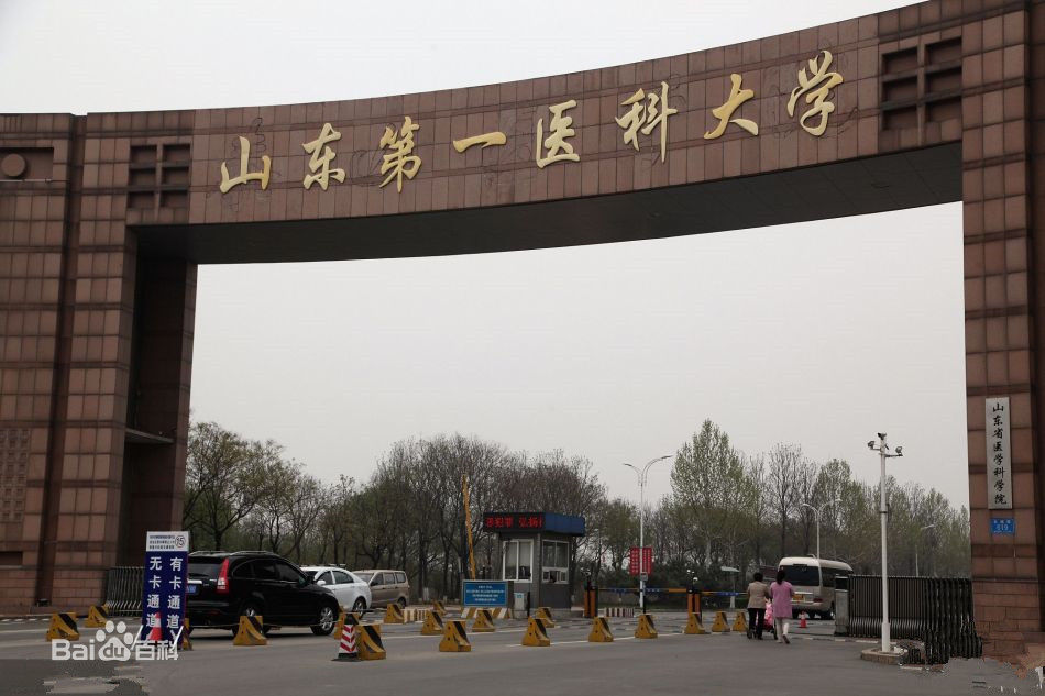 泰山医学院升为一本_泰山医学院专升本学费是多少_泰山医学院专升本招生简章