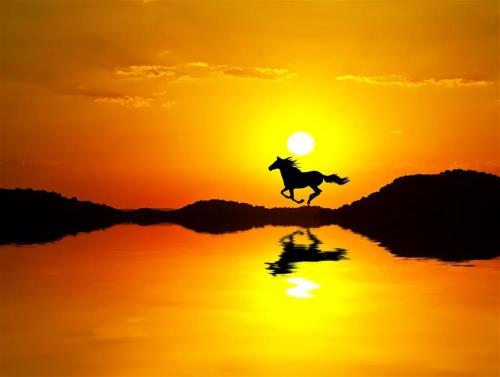 �㶫������ѧ����������¼ȡ�����߹���