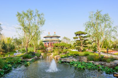 ĳǴѧôǼѧУ٣ѧѶ٣