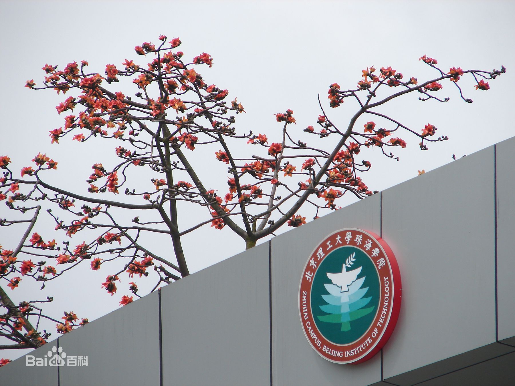 北京理工大学珠海学院学费每年多少?学院怎么样 好不好?