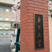 ������ѧ��ѧ������������ѧ�й����ѿ���