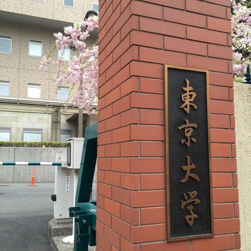 ������ѧ��ѧ������������ѧ�й����ѿ���