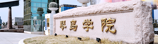 青島理工大學(xué)琴島學(xué)院好么是公辦還是民辦？全國排名及分?jǐn)?shù)線