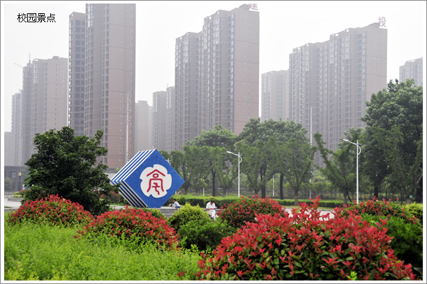 亳州学院是本科还是专科有哪些？专业？录取分数线及全国排名情况