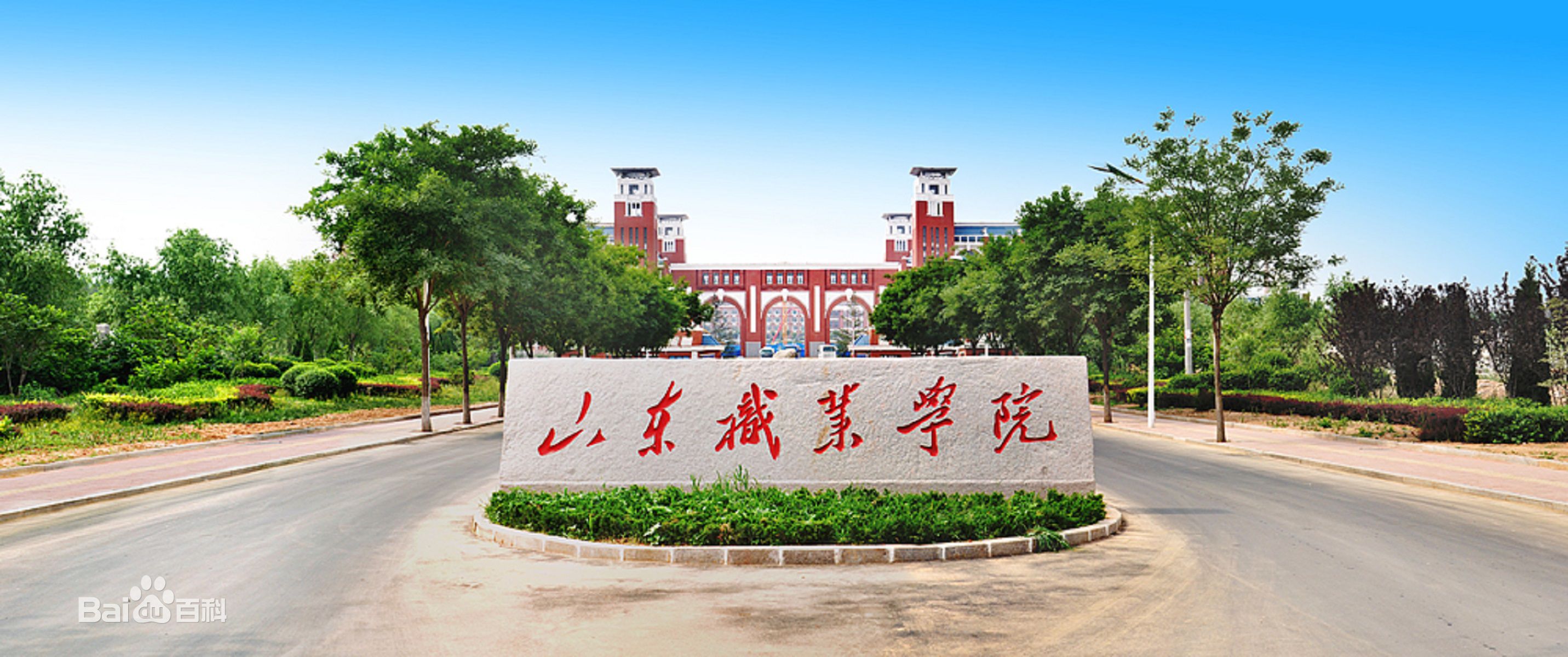 山东职业学院怎么样排名多少?2023山东职业学院分数线及宿舍图片