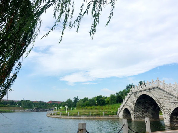山東科技職業(yè)學(xué)院是本科么是公辦還是民辦？2019分?jǐn)?shù)線是多少