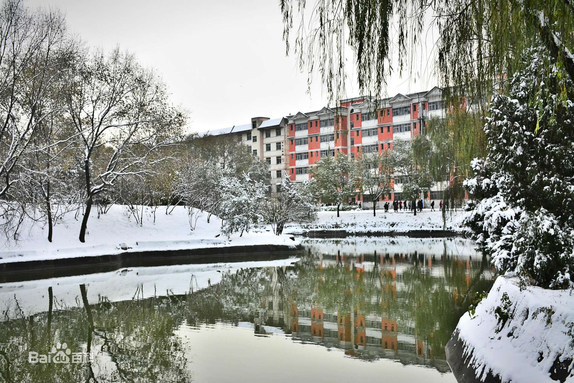 北京师范大学-北京度朗格迪信息技术有限公司