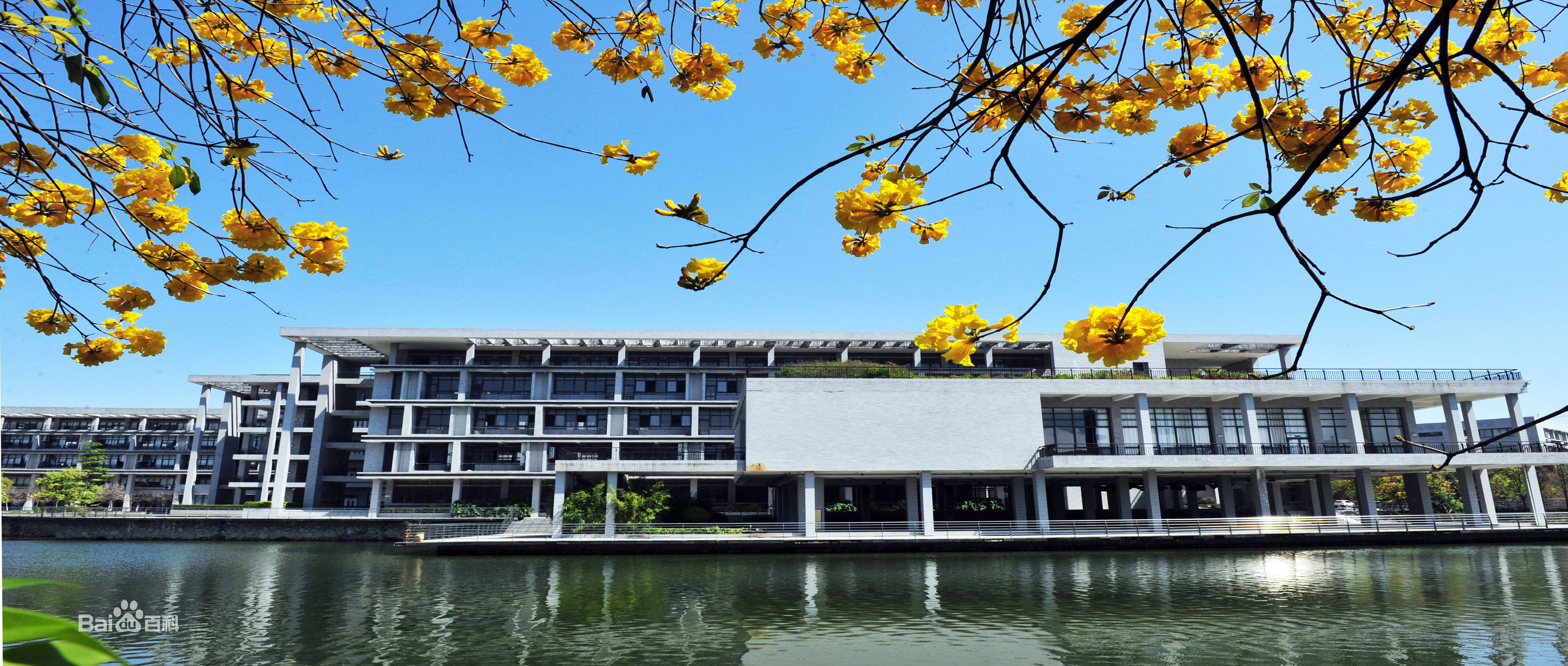 东莞职业技术学院地址在哪在广东省排名第几?2023录取分数线多少