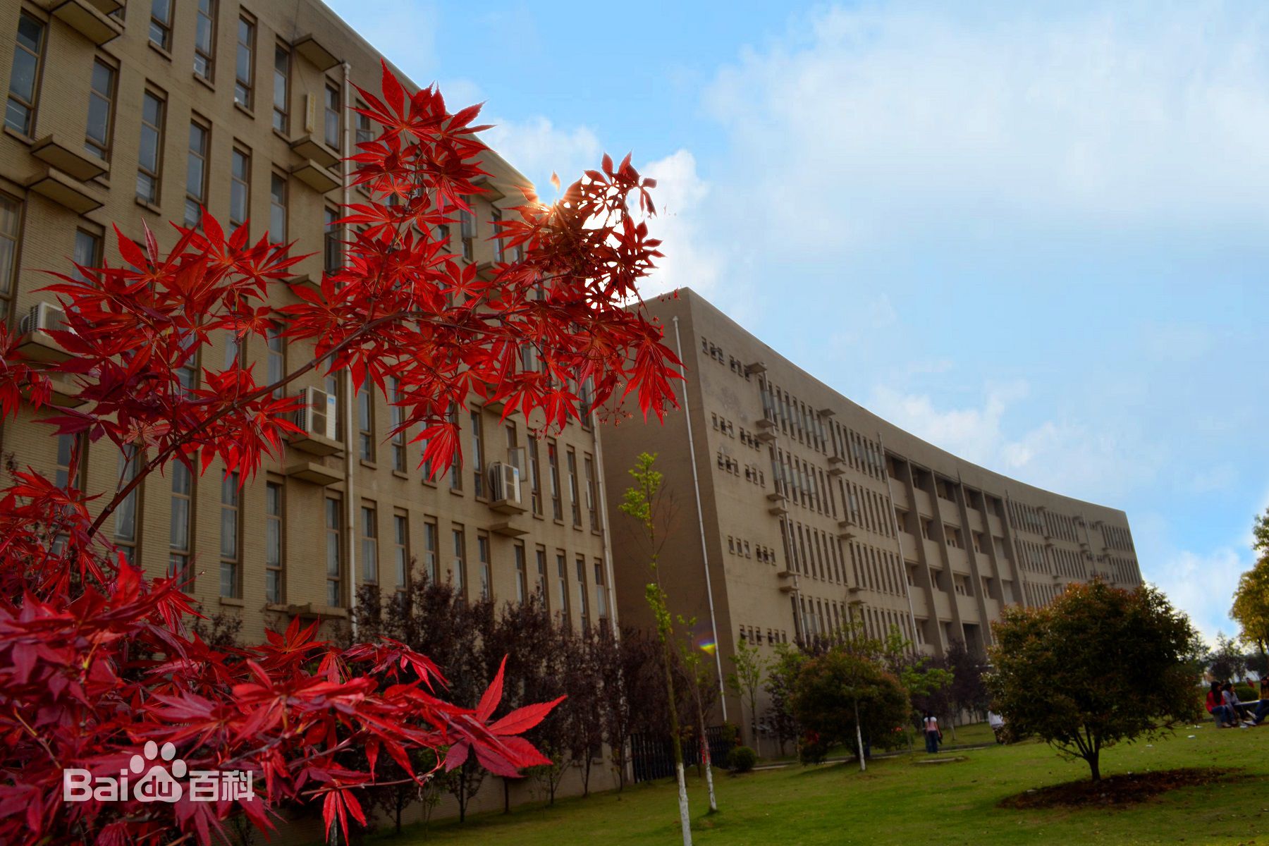 武昌职业学院怎么样地址在哪?专业有哪些?2019学校