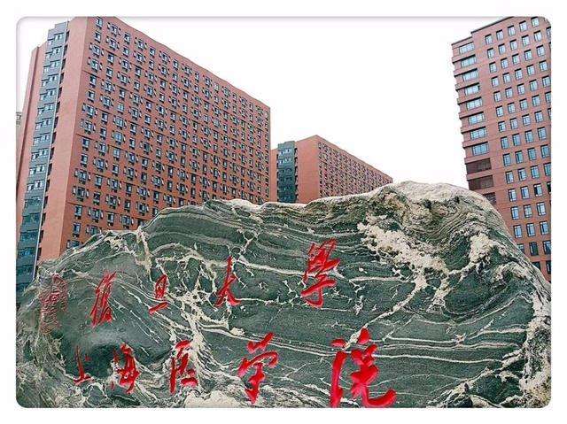 2023ѧҽѧԺ о̹ ȫ