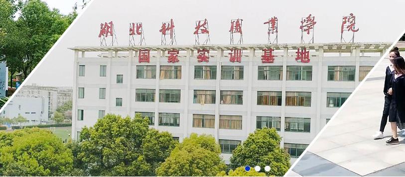 湖北科技職業(yè)學(xué)院怎么樣？是公辦還是民辦？學(xué)費(fèi)多少王牌專業(yè)推薦