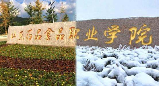 山東藥品食品職業(yè)學(xué)院是公辦還是民辦?學(xué)費(fèi)多少錢？王牌專業(yè)
