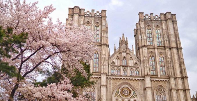 ������ѧ�൱���й���ʲô��ѧ��������ѧ�����������٣�