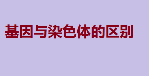 Ⱦɫ𣬻ȾɫĹϵ˼άͼ