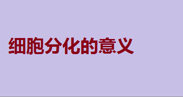 细胞分化的原因,细胞分化的意义
