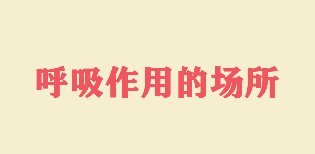 呼吸作用的场所 呼吸作用的反应式及实质是什么?