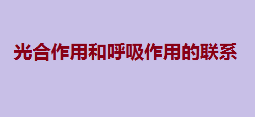 光合作用和呼吸作用的联系与区别,光合作用和呼吸作用反应式