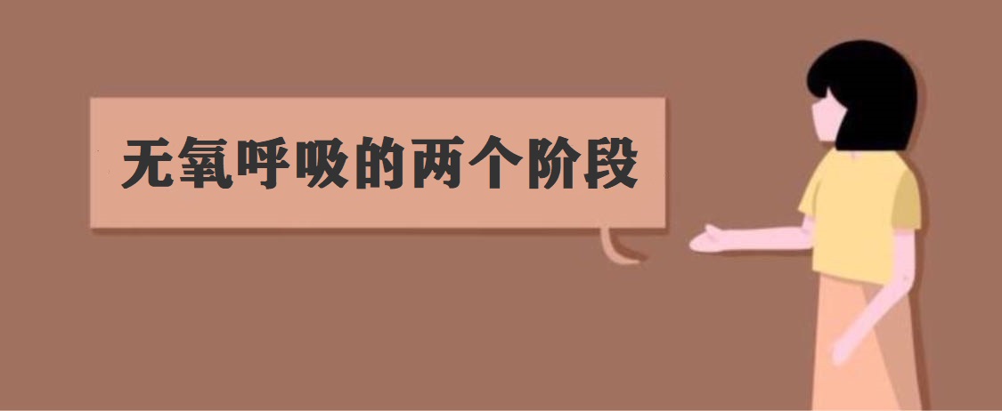 ׶ Ӧʽʲô