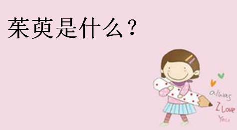 һʲô˼ʲô