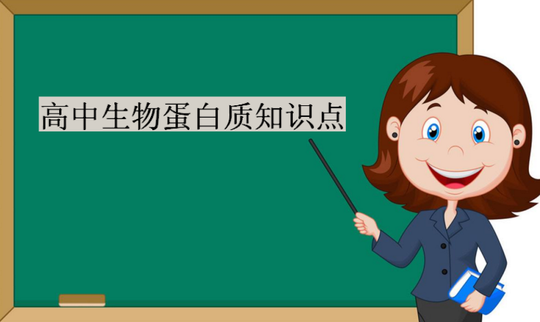 高中生物蛋白质知识点,蛋白质含量高的食物一览表
