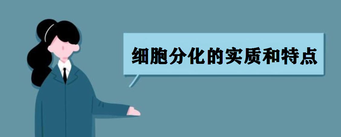 细胞分化的实质和特点 细胞分化的意义是什么?