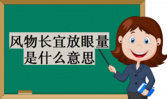 风物长宜放眼量是什么意思？风物长宜放眼量上一句是什么？