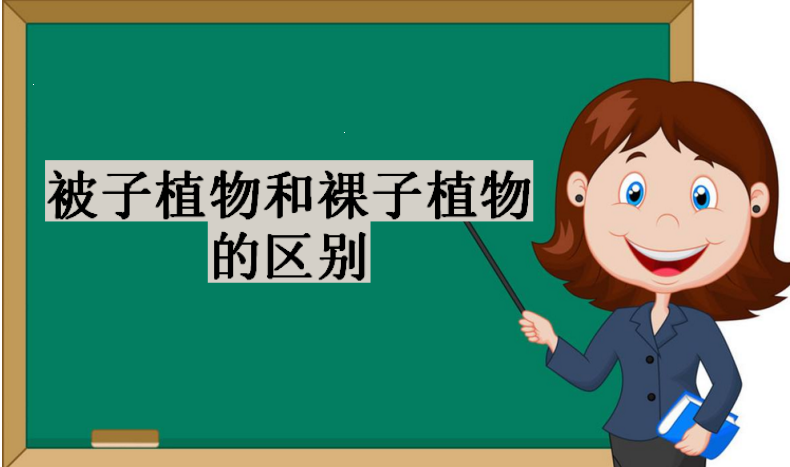 被子植物和裸子植物的区别?常见的裸子植物和被子植物