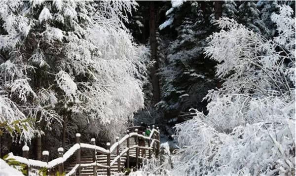 【九寨沟什么时候下雪】九寨沟下雪之后的样子,美翻了!