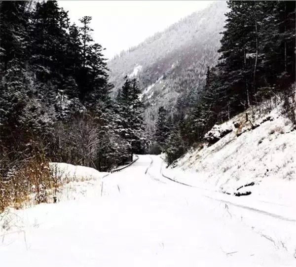 【九寨沟什么时候下雪】九寨沟下雪之后的样子,美翻了!